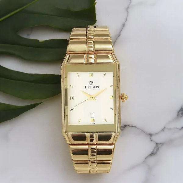 Fancy Titan Watch
